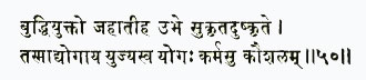 буддхи-йукто джахатиха убхе сукрита-душкрите тасмад йогайа йуджйасва