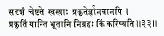 садришам чештате свасйах пракритер гйанаван апи пракритим йанти бхутан
