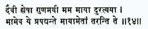 даиви хй эша гуна-майи мама майа дуратйайа мам эва йе прападйанте майа