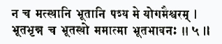 на ча мат-стхани бхутани пашйа ме йогам аишварам бхута-бхрин на ча бху