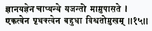 гйана-йаджнена чапй анйе йаджанто мам упасате экатвена притхактвена ба