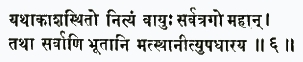 йатхакаша-стхито нитйам вайух сарватра-го махан татха сарвани бхутани