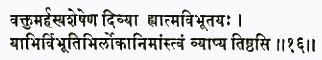 вактум архасй ашешена дивйа хй атма-вибхутайах йабхир вибхутибхир лока