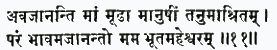 аваджананти мам мудха манушим танум ашритам парам бхавам аджананто мам