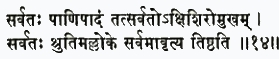 сарватах пани-падам тат сарвато 'кши-широ-мукхам сарватах шрутимал