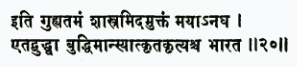 ити гухйатамам шастрам идам уктам майанагха этад буддхва буддхиман